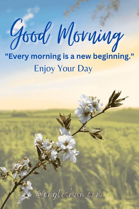 Good morning