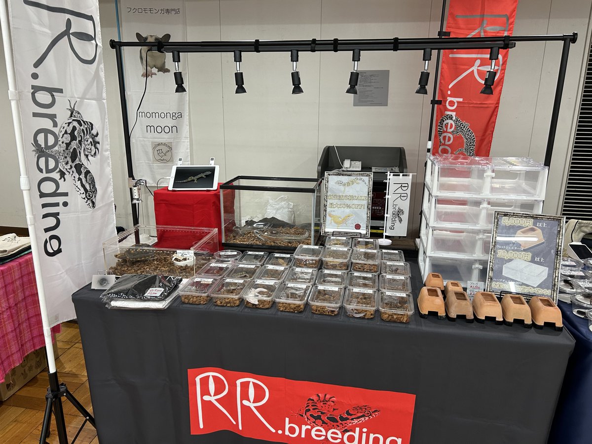 オグマさん【ちゃんねるRR】 tweet media