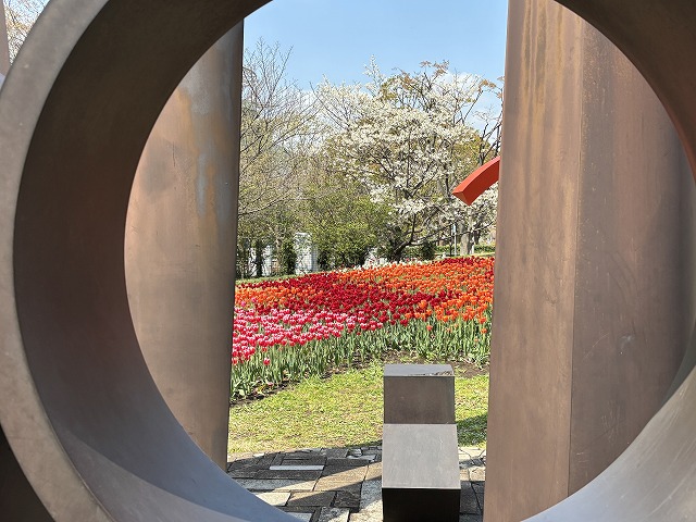 tptckoen2's tweet photo. 【テレコムセター駅前】
シンボルプロムナード公園で開催中の「臨海副都心チューリップフェスティバル2026」は各所に見所が設置されゆりかもめ線テレコムセター駅前の広場ではオブジェやせせらぎをデザインに取り入れたチューリップ花壇が見頃🌷
今週～来週には桜🌸を背景にしたチューリップ🌷が見頃🌷 https://t.co/LDvYzcbz7F