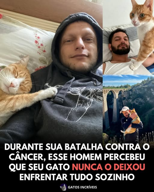 Não Intendo tweet media