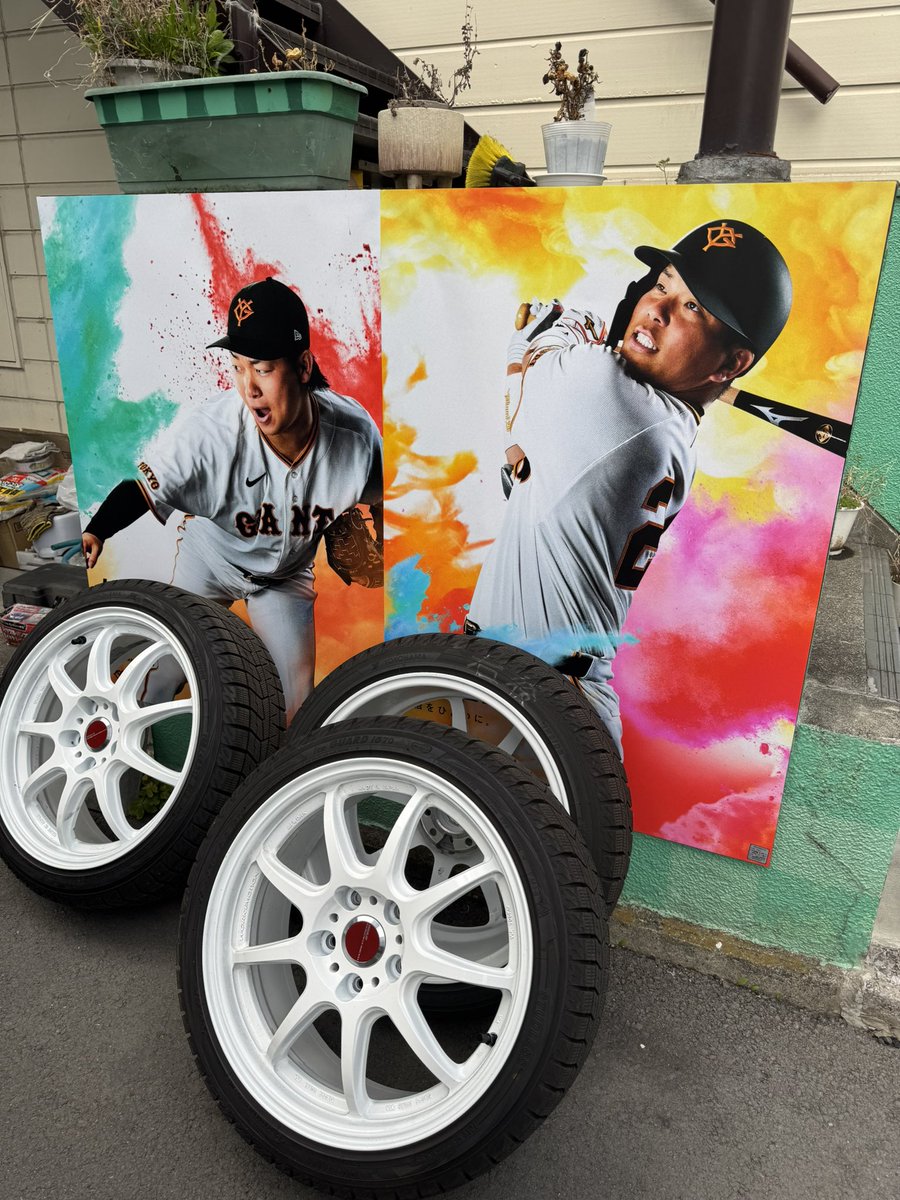 🐿⚾️ tweet media