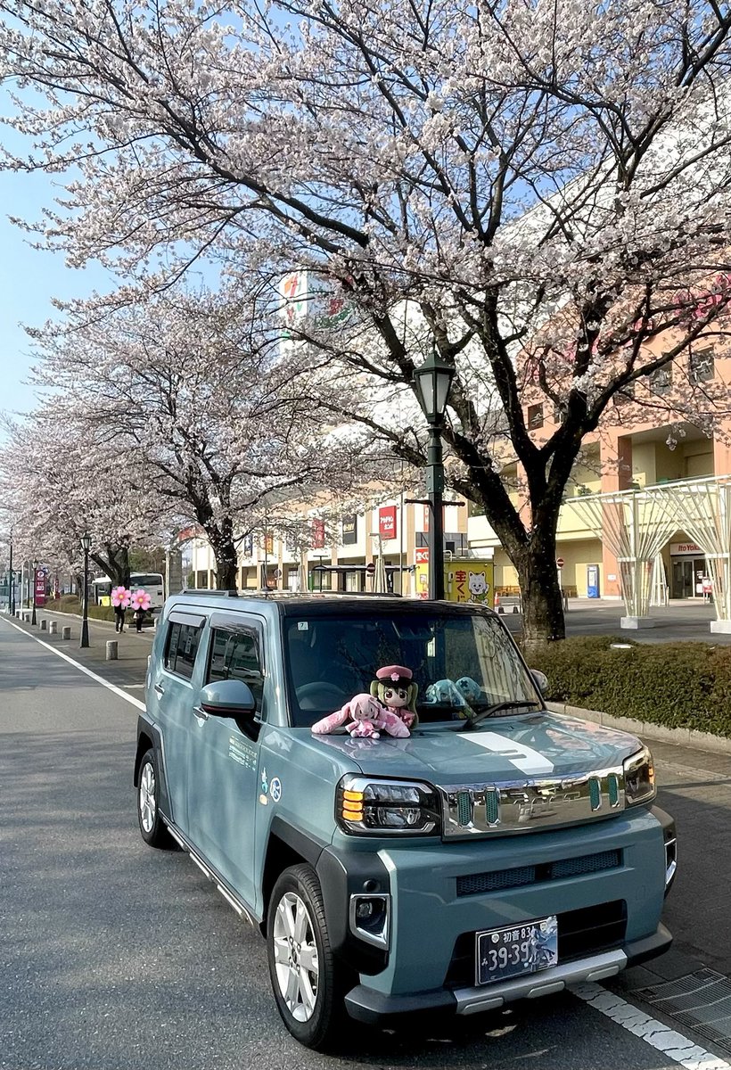 ペンペン✨次のミライで tweet media