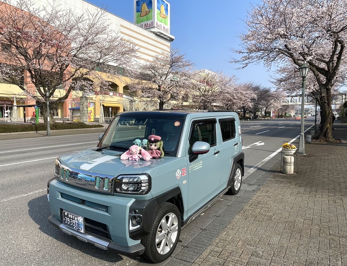 ペンペン✨次のミライで tweet media