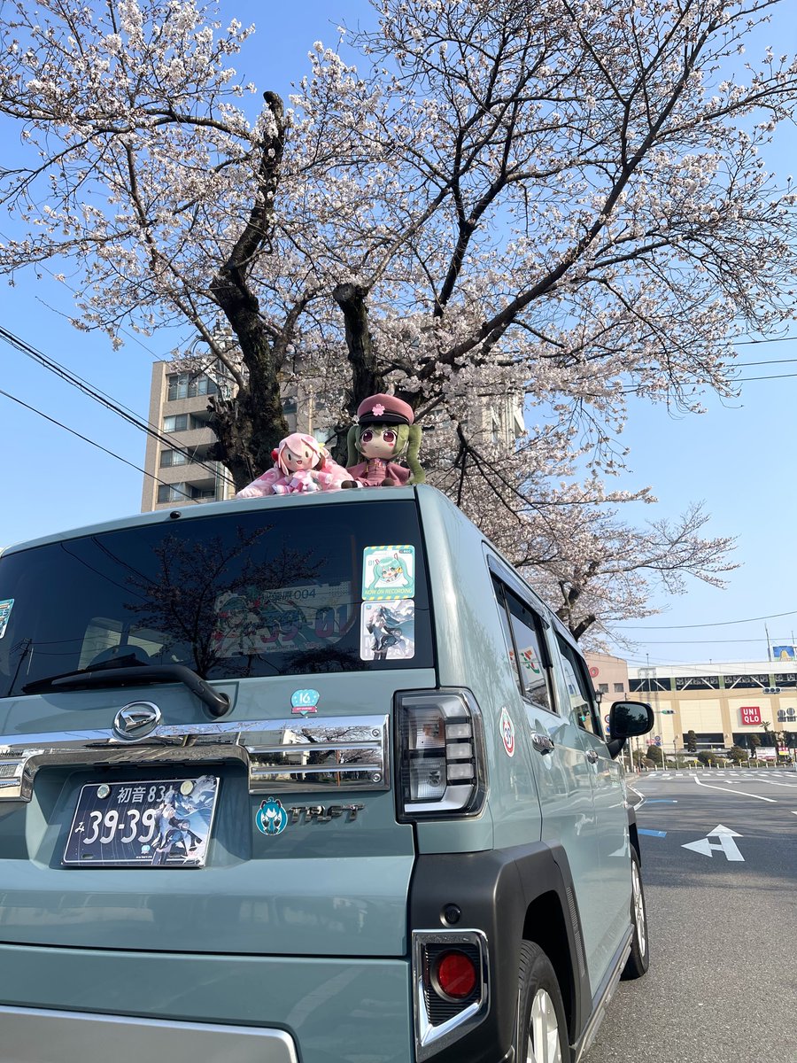 ペンペン✨次のミライで tweet media