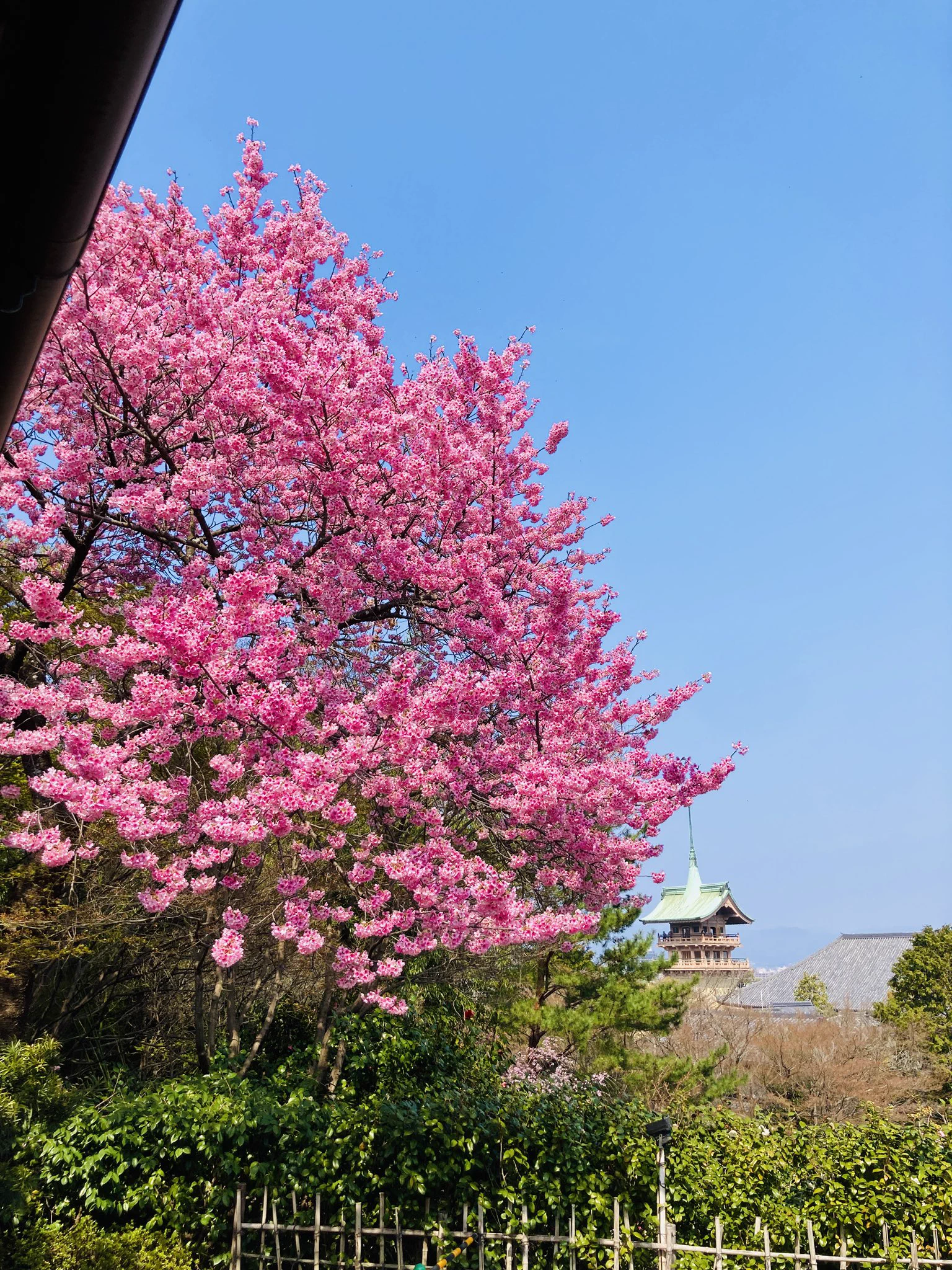 鷲峰山 高台寺 on X: 