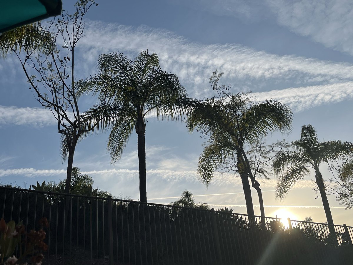 SwingTrade7 tweet media