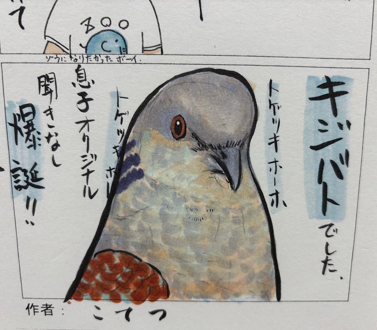 和歌山県立自然博物館 tweet media