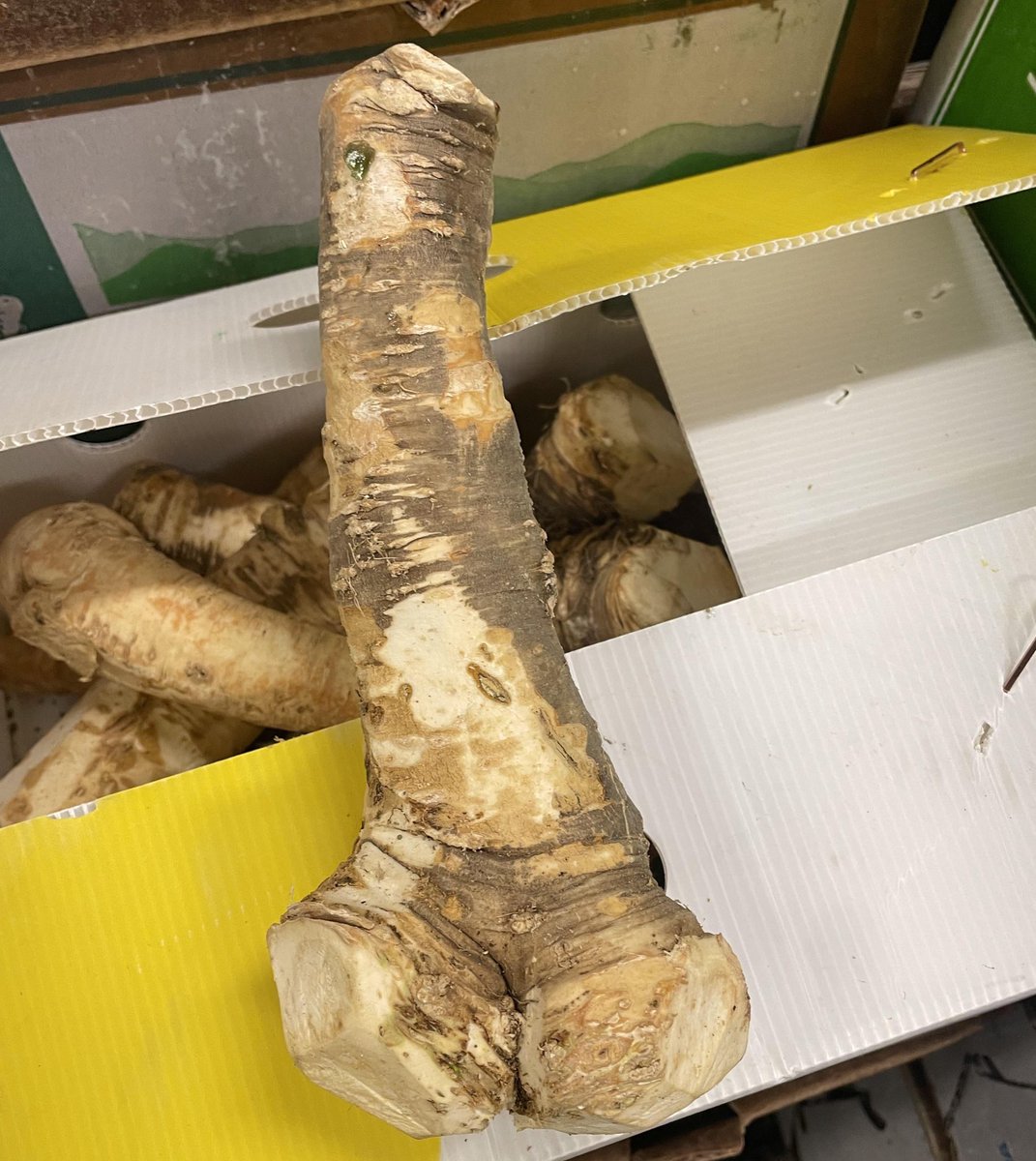 The Jewish Meme Queen tweet media