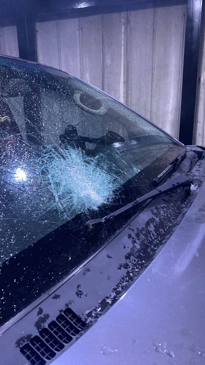 Alejandro Alegria 🌴 tweet media