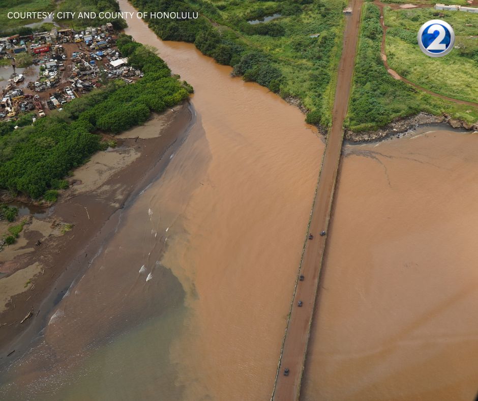 KHON2 News tweet media