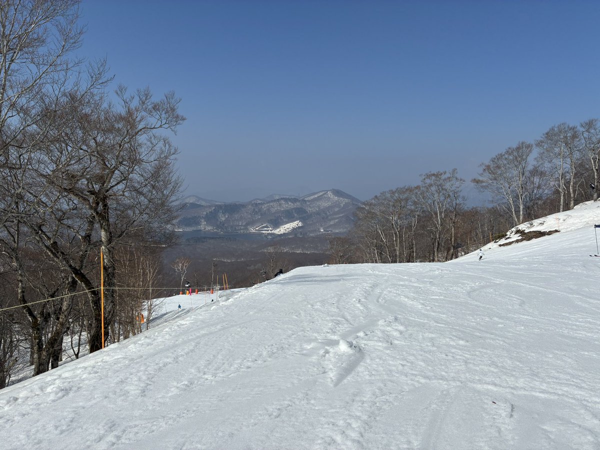 ブイ蜂 tweet media