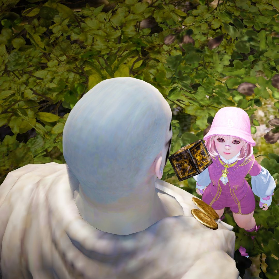 夢みる夢ちゃん@黒い砂漠 tweet media