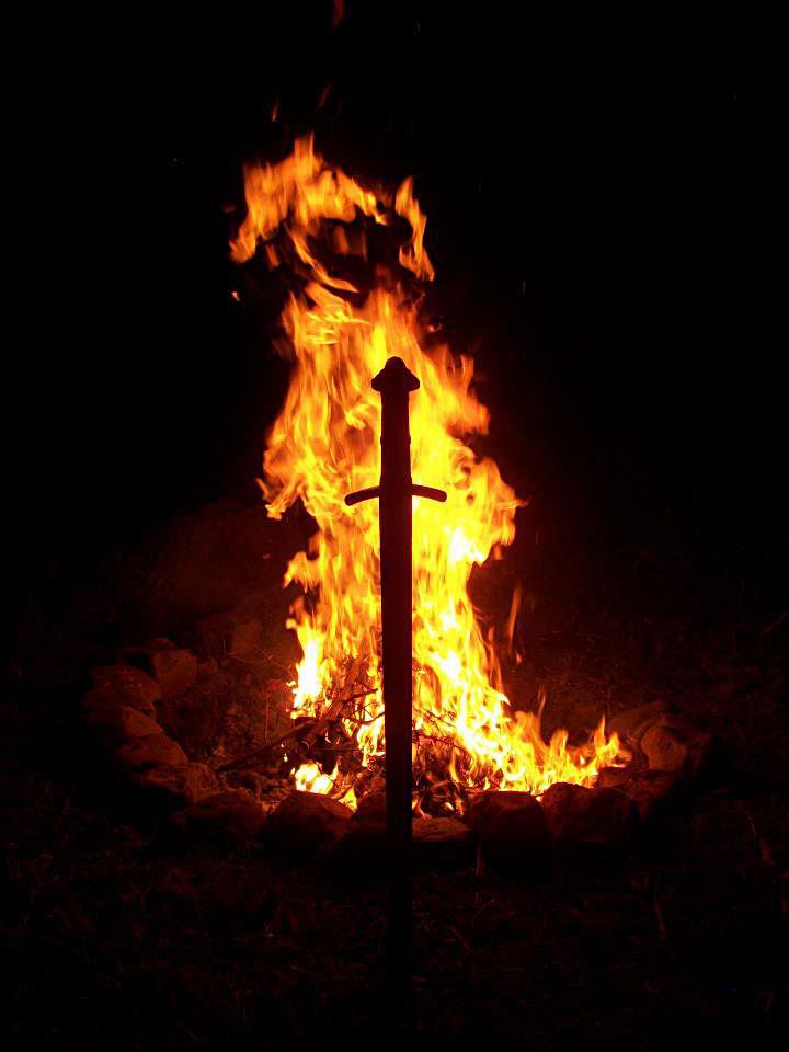 ๐ษดแดแดษชษด tweet media