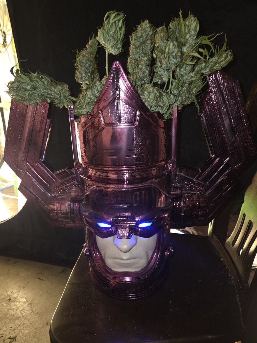 Flippapotamus tweet media