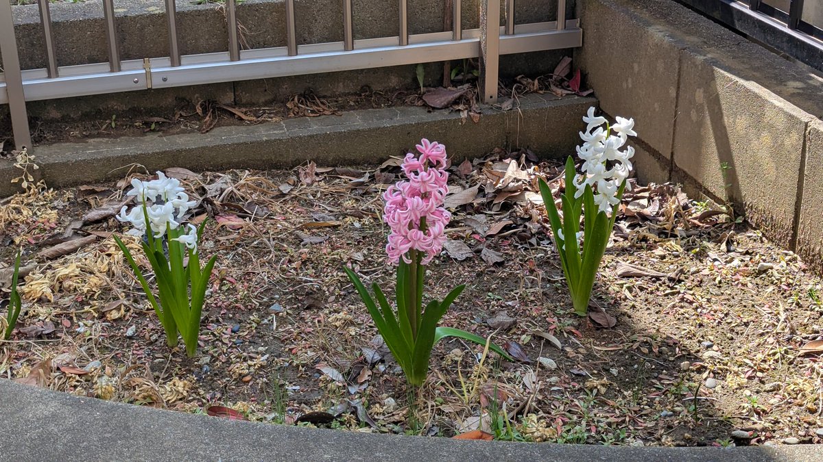 Ryu…… tweet media