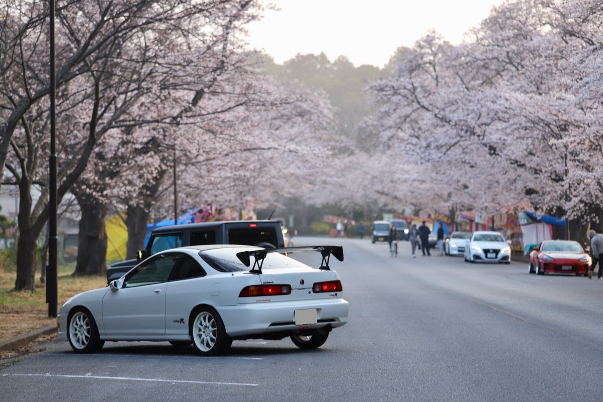 あきょん|*･ω･) tweet media