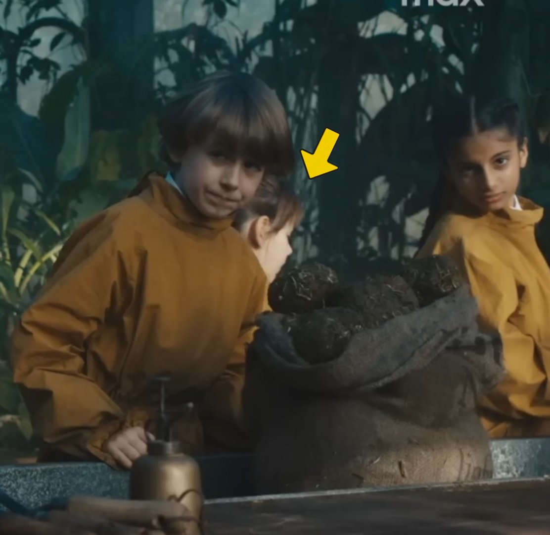 Harry Potter Brasil tweet media