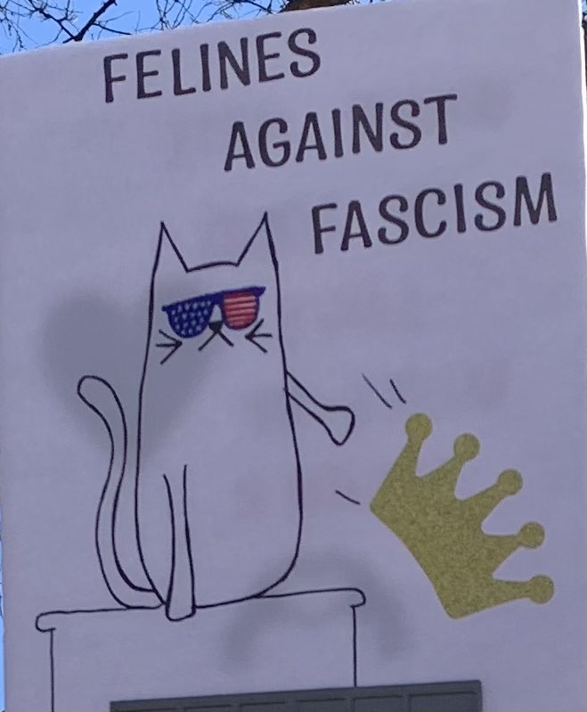 Marcie Goldbloom🌻🟧🐧☕️🎶 tweet media