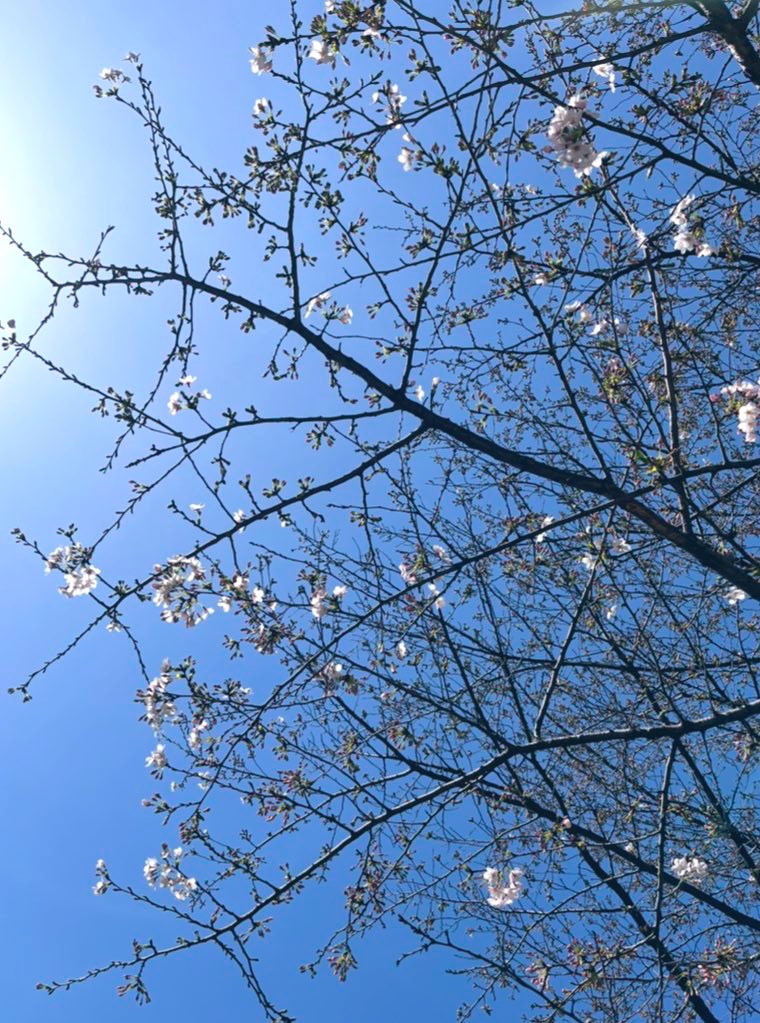 冥夢 meimu tweet media