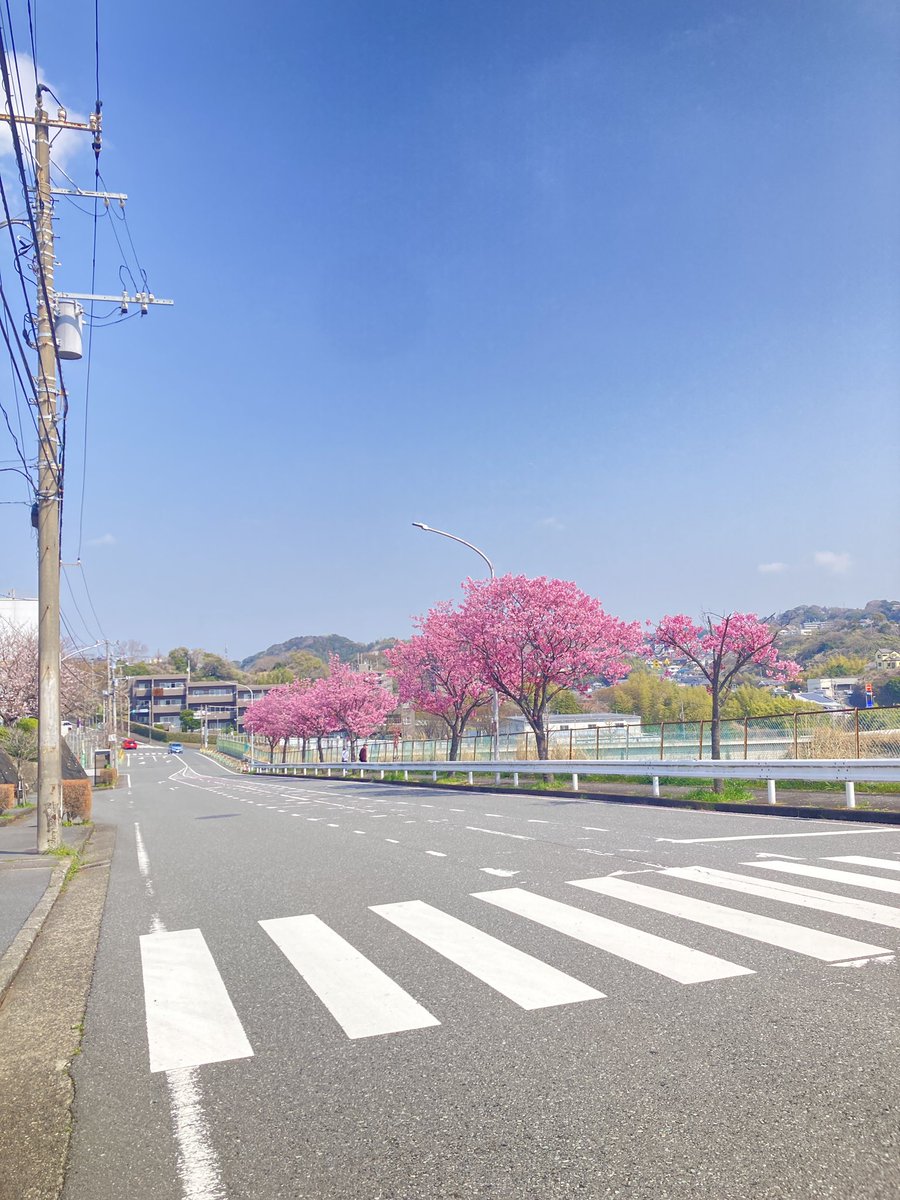 Uber旭区 tweet media