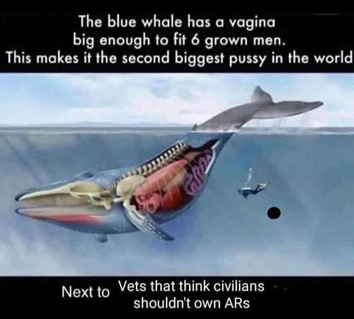 Rothmus 🏴 tweet media