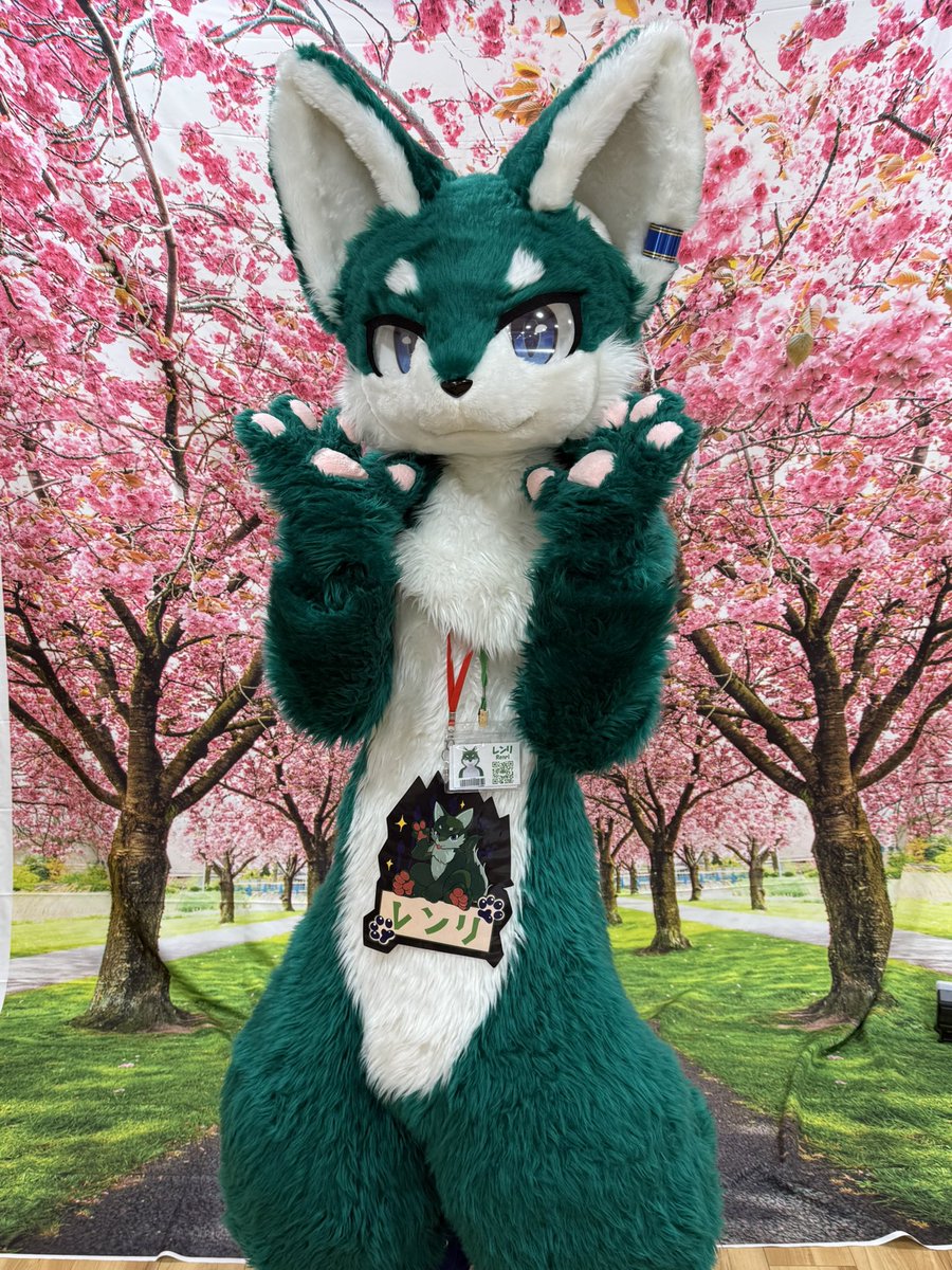 いぬまる tweet media