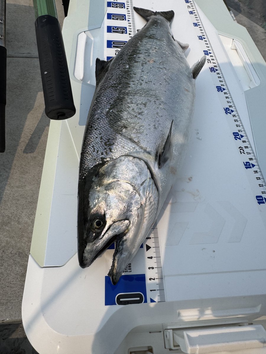 エリフ@宮城の人 tweet media