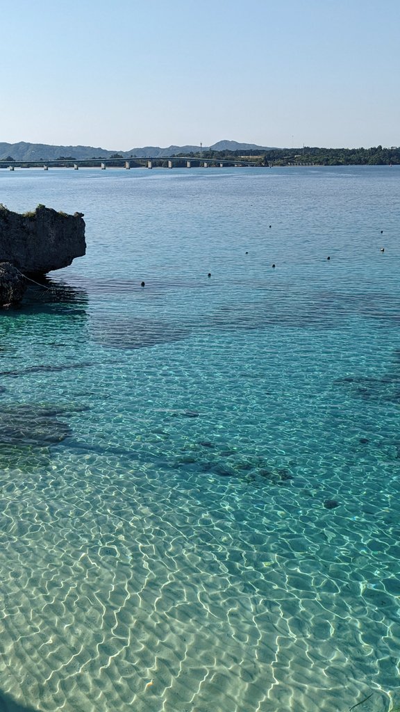 𝙕𝙞𝙥 tweet media