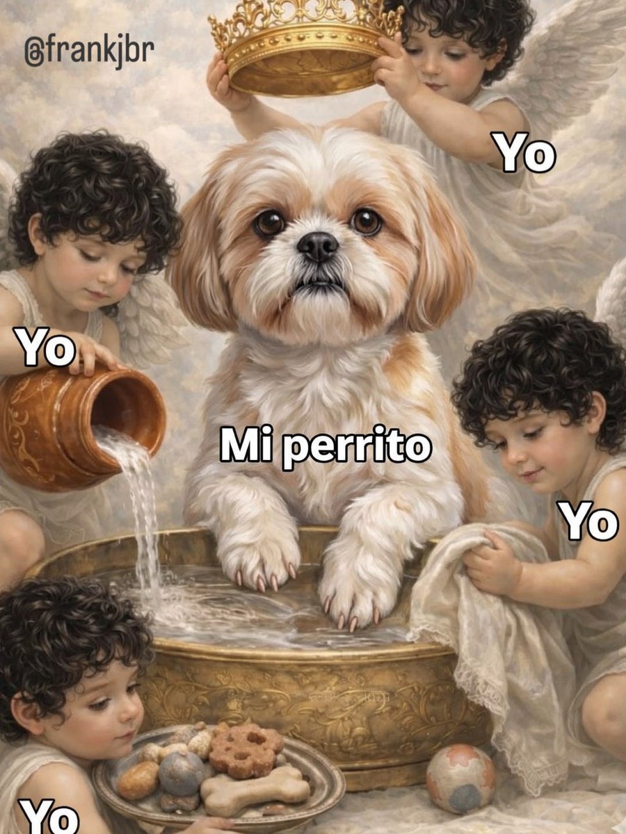 Frank Jimenez B. tweet media