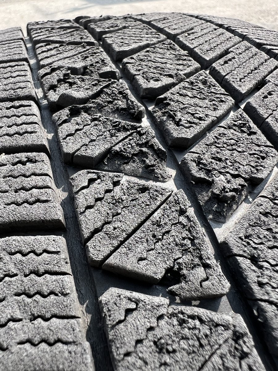 ⛩️神馬シン（じんま しん）🐎🐈 tweet media