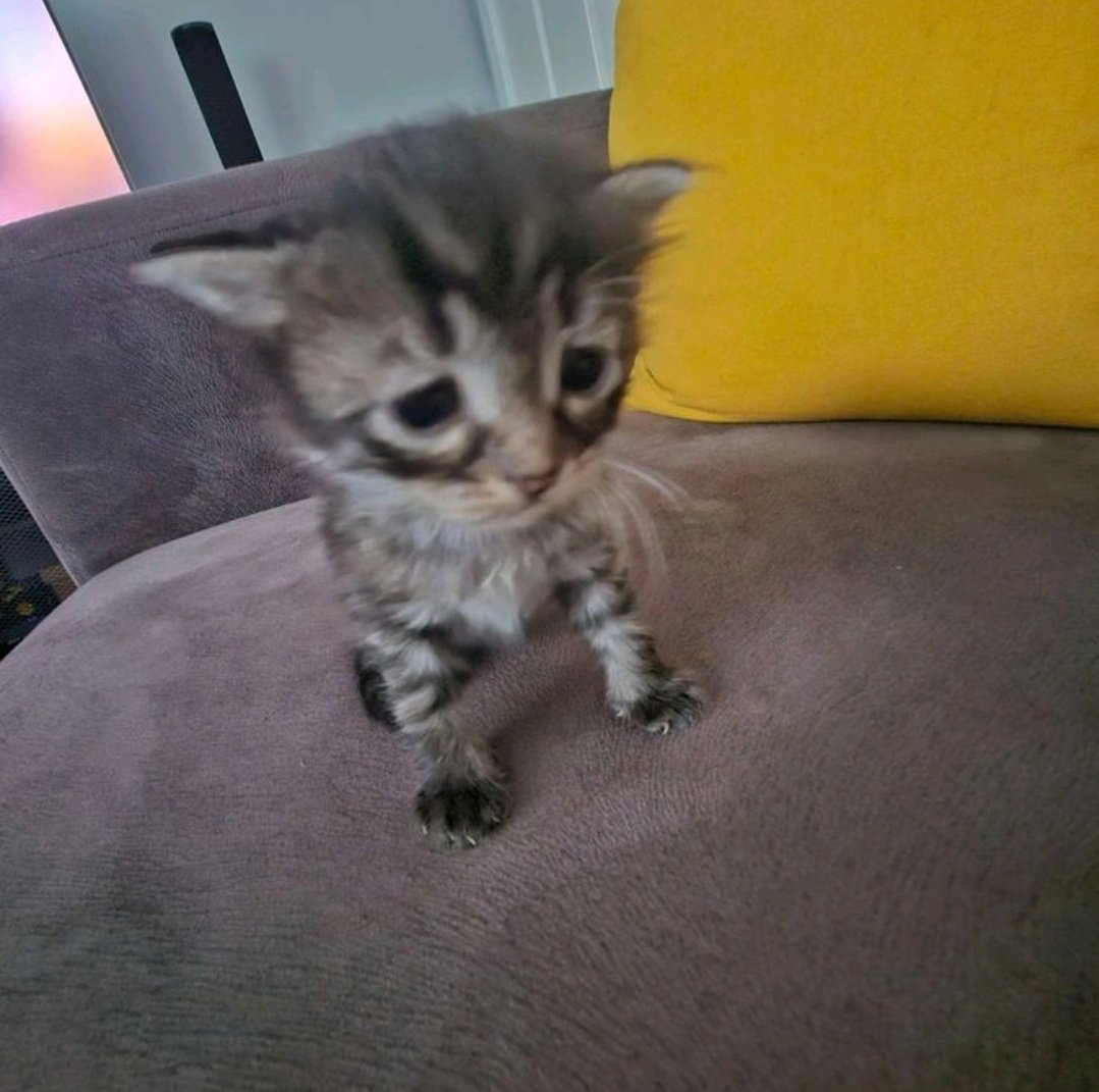 dýn.⁷ tweet media