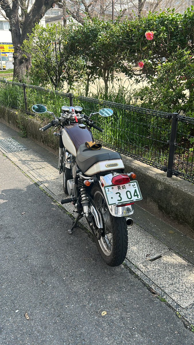 仲夏トト+ tweet media