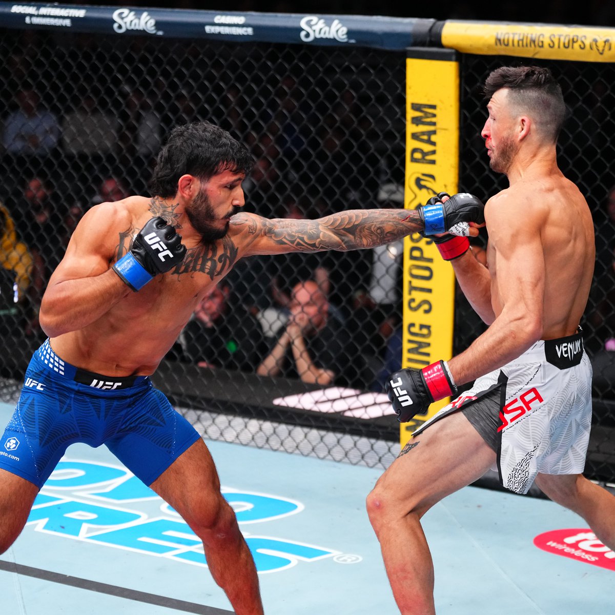 UFC News tweet media