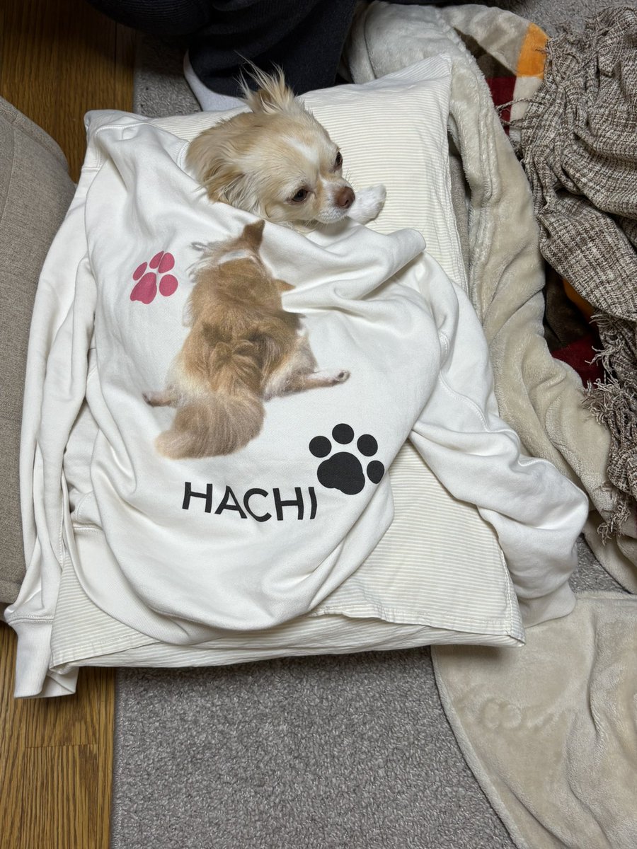 うぇる tweet media