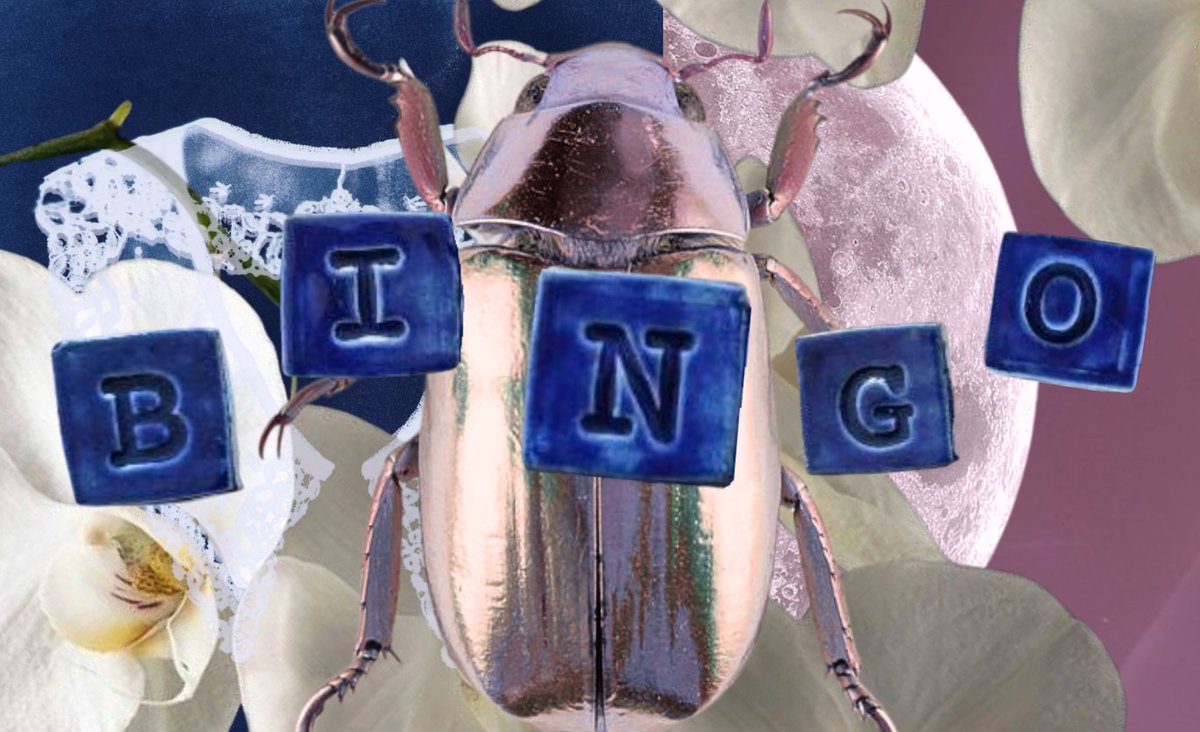 ᴀɪᴏʟɪ ⋆ tweet media