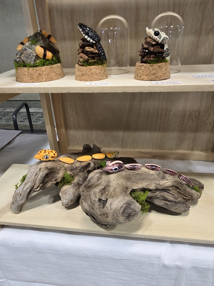 【New choice】クリマ 5/5(火)のみ出店 tweet media