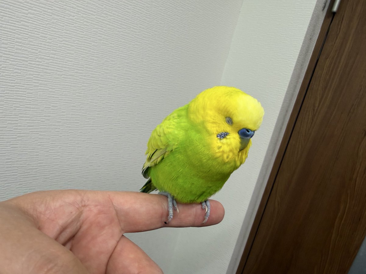 りょーた tweet media