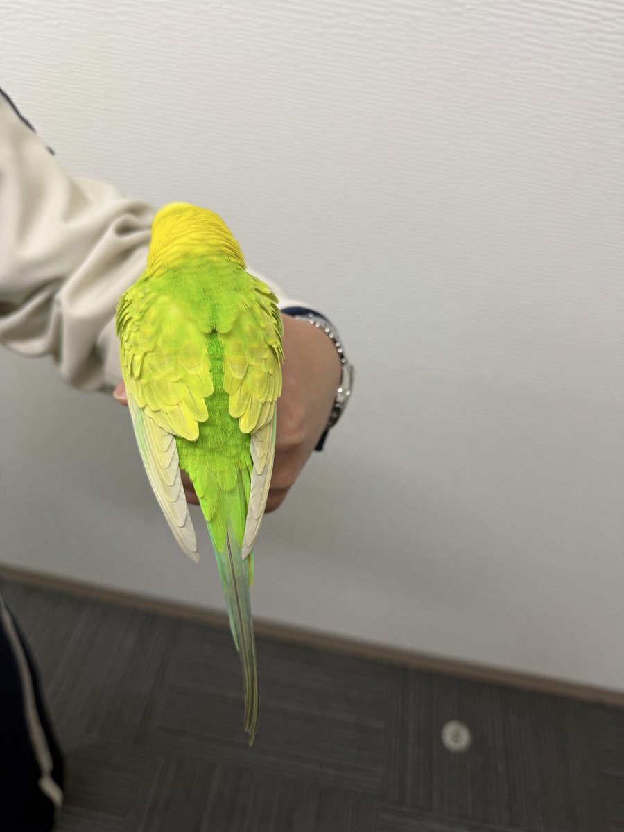 りょーた tweet media