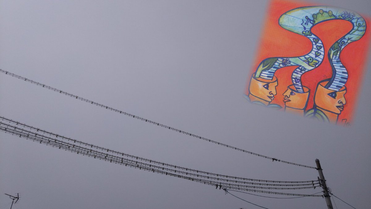 アニバル tweet media