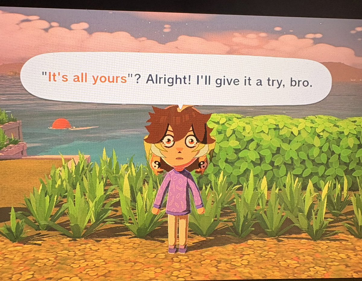 Pea_404 🫛 tweet media