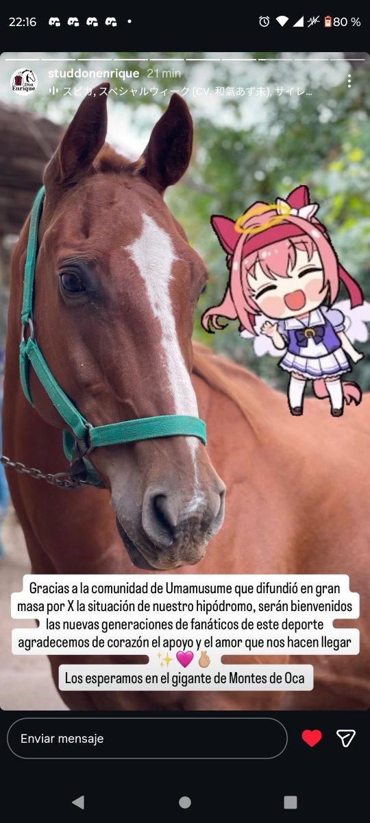 Oguro Star Blossom tweet media