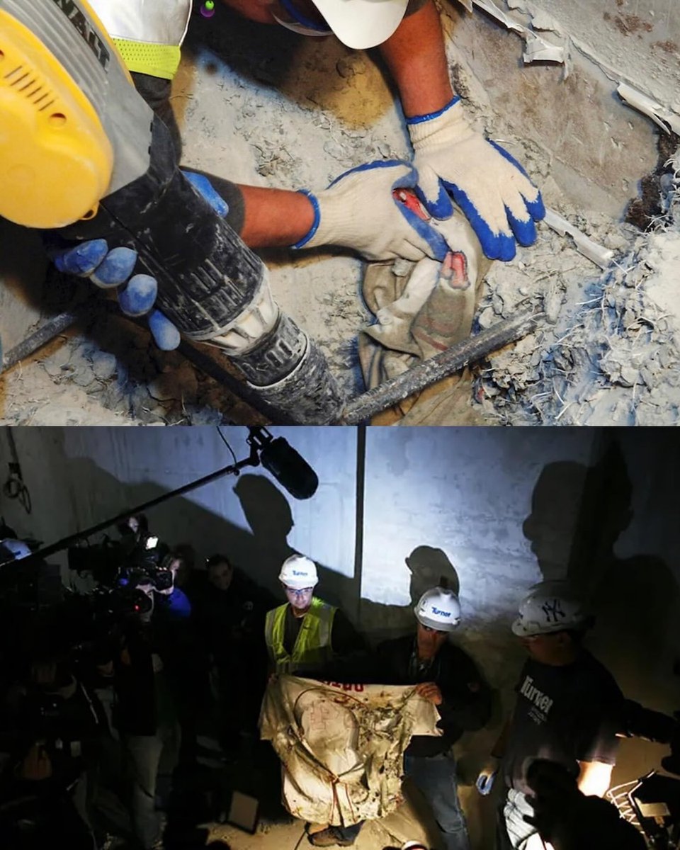 Fanatics Collect tweet media