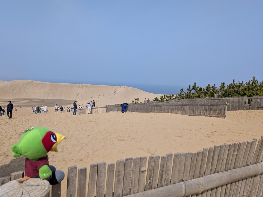 F_maru 12 tweet media