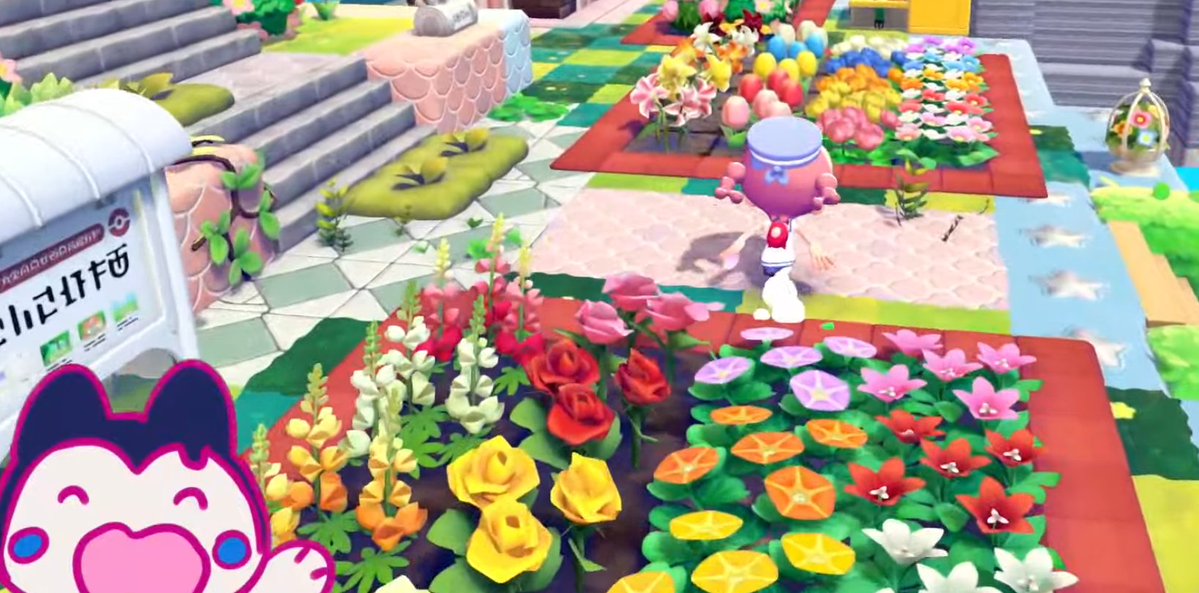 Evan Chisholm tweet media