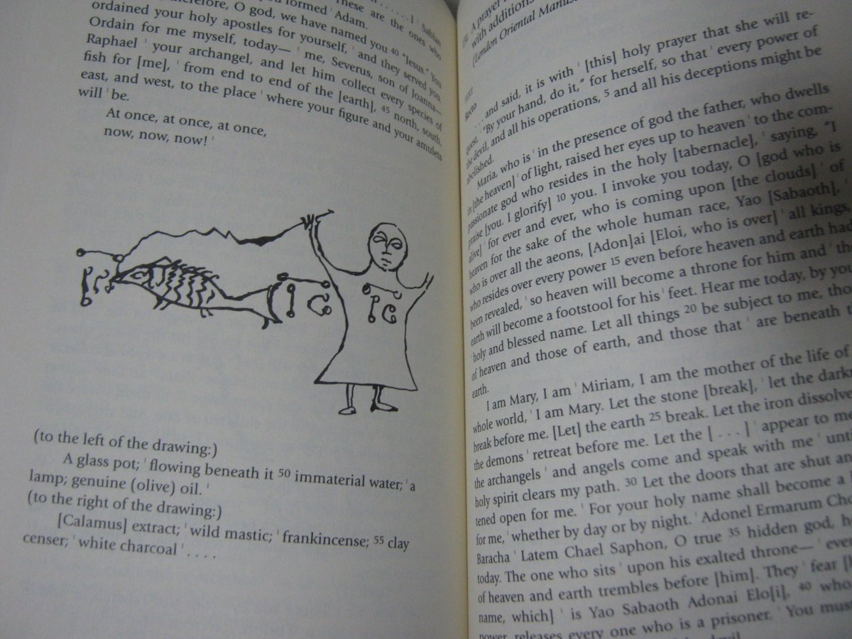 フィロ tweet media