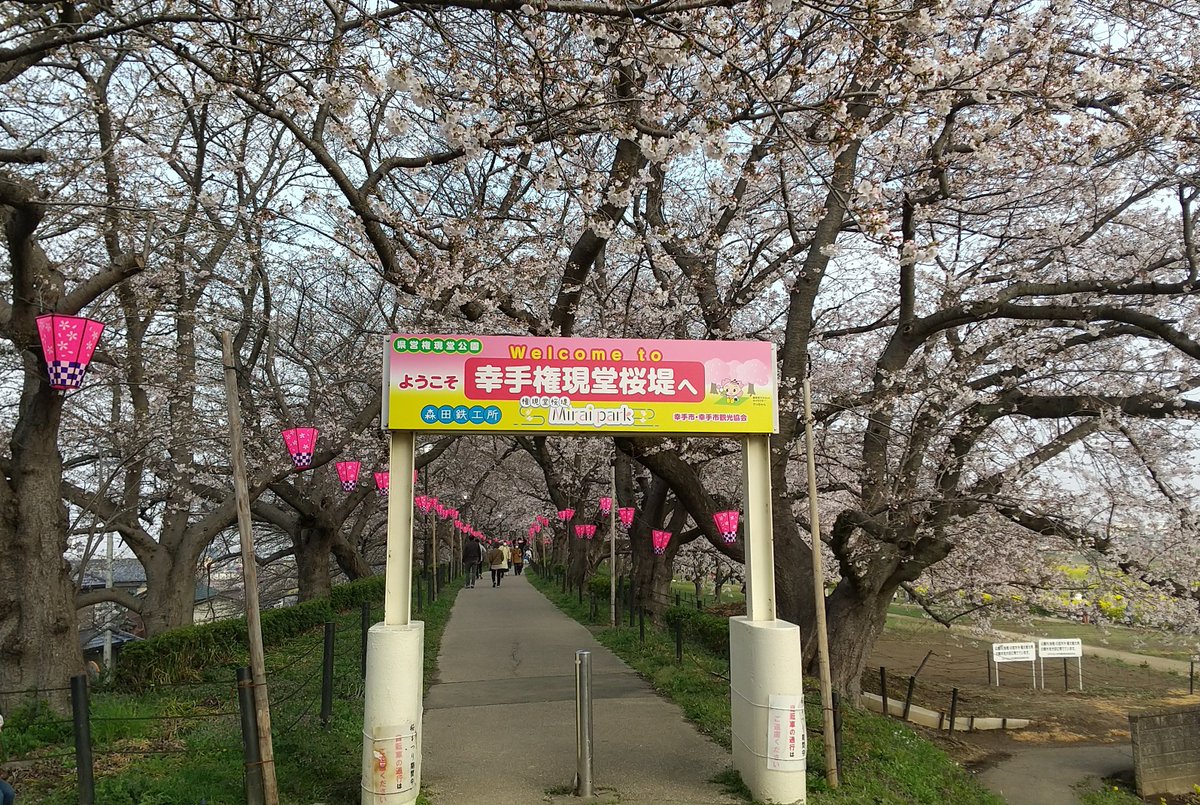 Night Gaunts tweet media