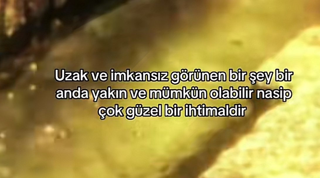 can M4 Competition tweet media