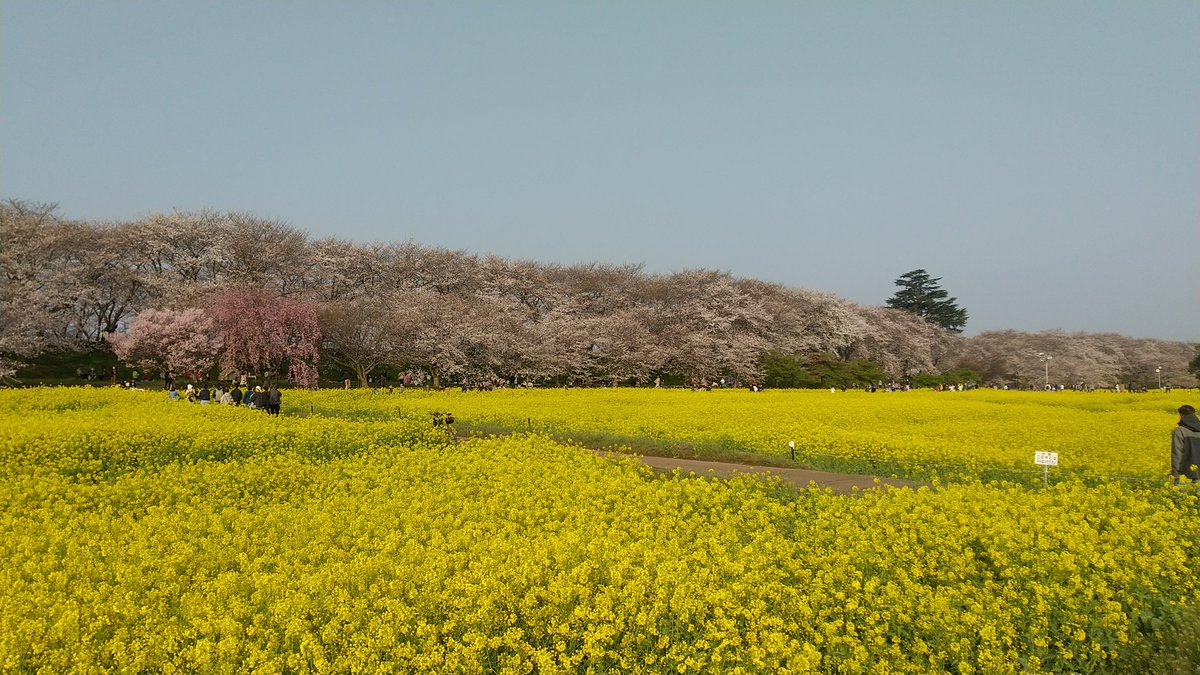 Night Gaunts tweet media