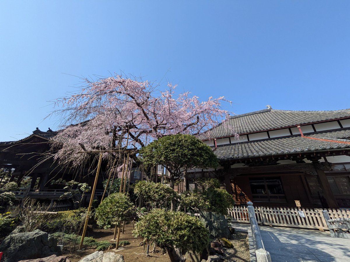 イツカノドコカ tweet media