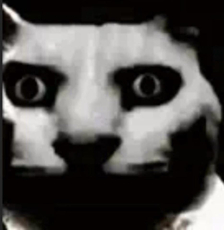 ضب أصفر tweet media